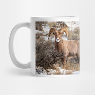 Bighorn Sheep Mug